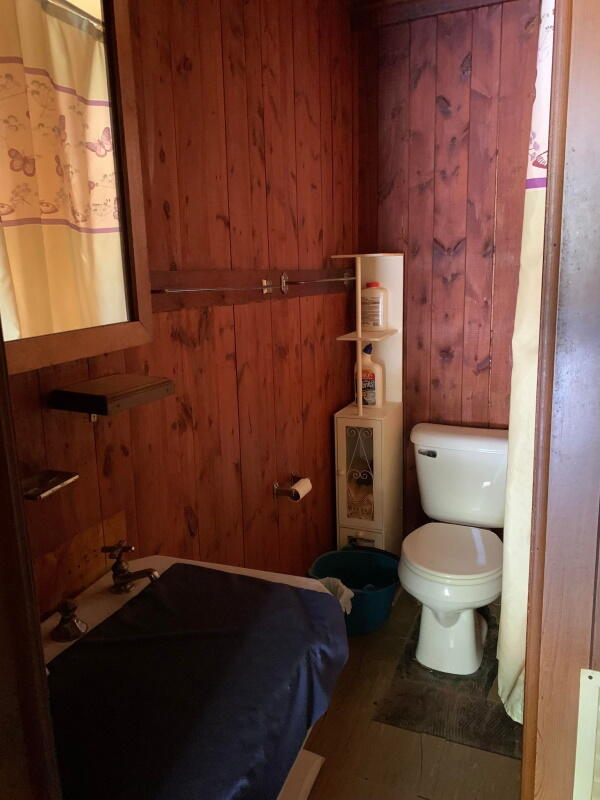 189 Popps Road Mio, MI 48647 - Photo 8 of 11 Gallery Image 8