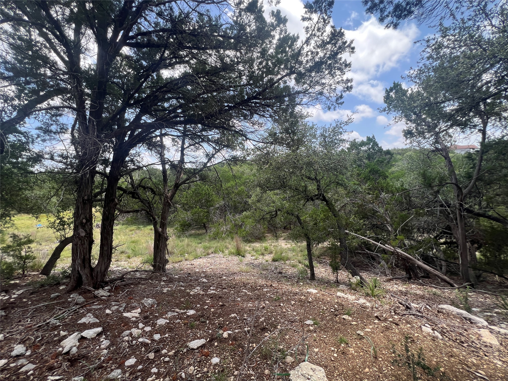 1252 Parton Road Canyon Lake, TX 78133 - Photo 5 of 11