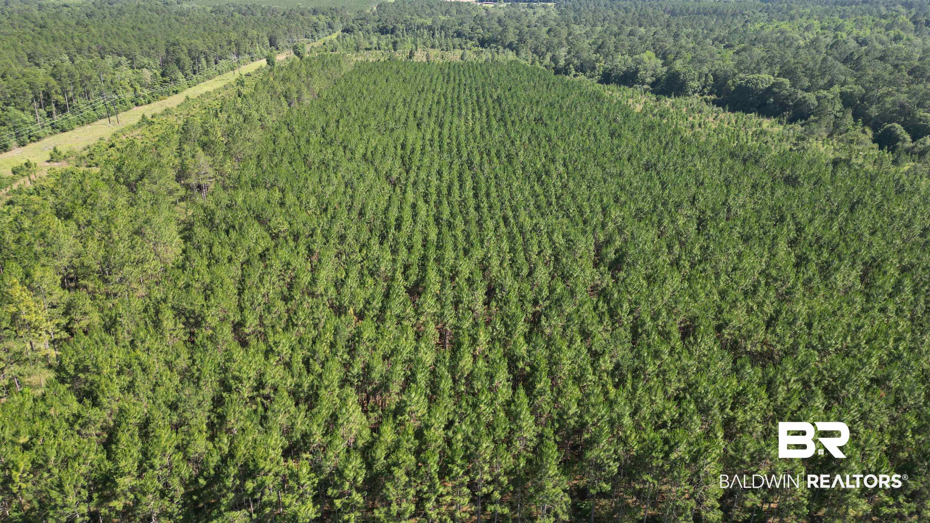 0 County Road 87 Elberta, AL 36530 - Photo 17 of 46