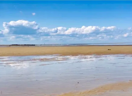 $995,000 | 117 A P Newcomb Road, Brewster, MA 02631