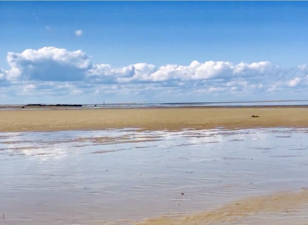 117 A P Newcomb Road Brewster, MA 02631 - Photo 67 of 72 IMG_0401