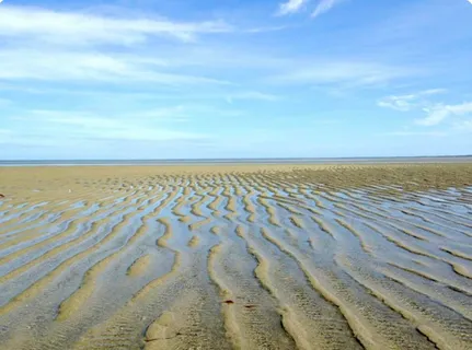 $995,000 | 117 A P Newcomb Road, Brewster, MA 02631