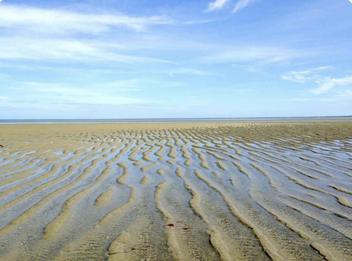 117 A P Newcomb Road Brewster, MA 02631 - Photo 68 of 72 IMG_0396