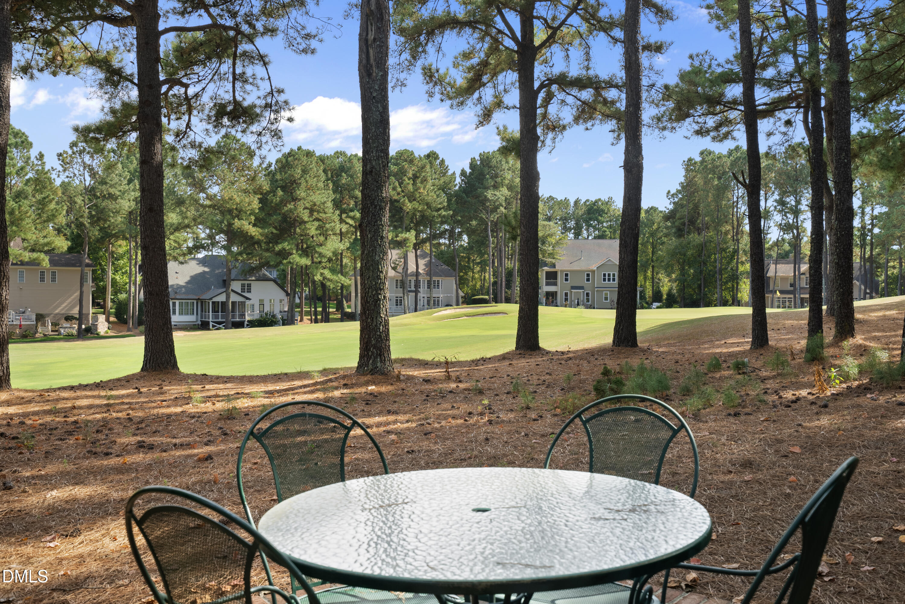 916 Overlook Ridge Road Wake Forest, NC 27587 - Photo 38 of 56 DSC07253