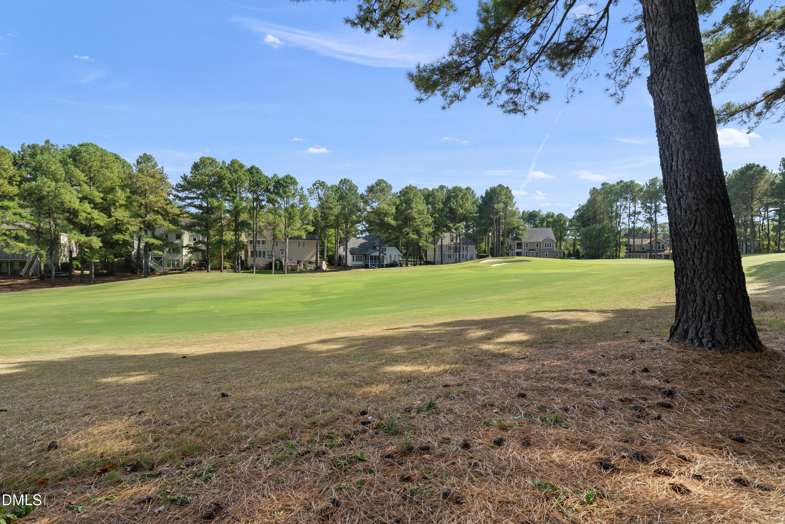 916 Overlook Ridge Road Wake Forest, NC 27587 - Photo 42 of 56 DSC07265