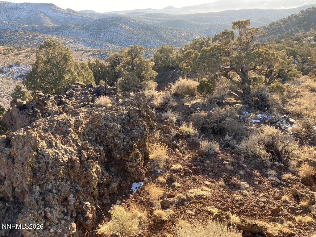 a view of mountain view with lots of trees