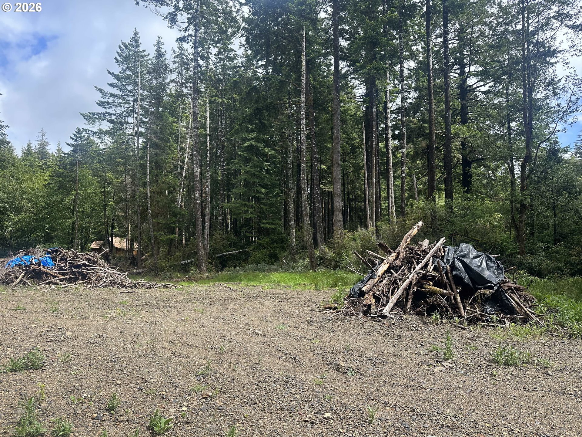 Cedar Hollow Road Port Orford, OR 97465 - Photo 5 of 6