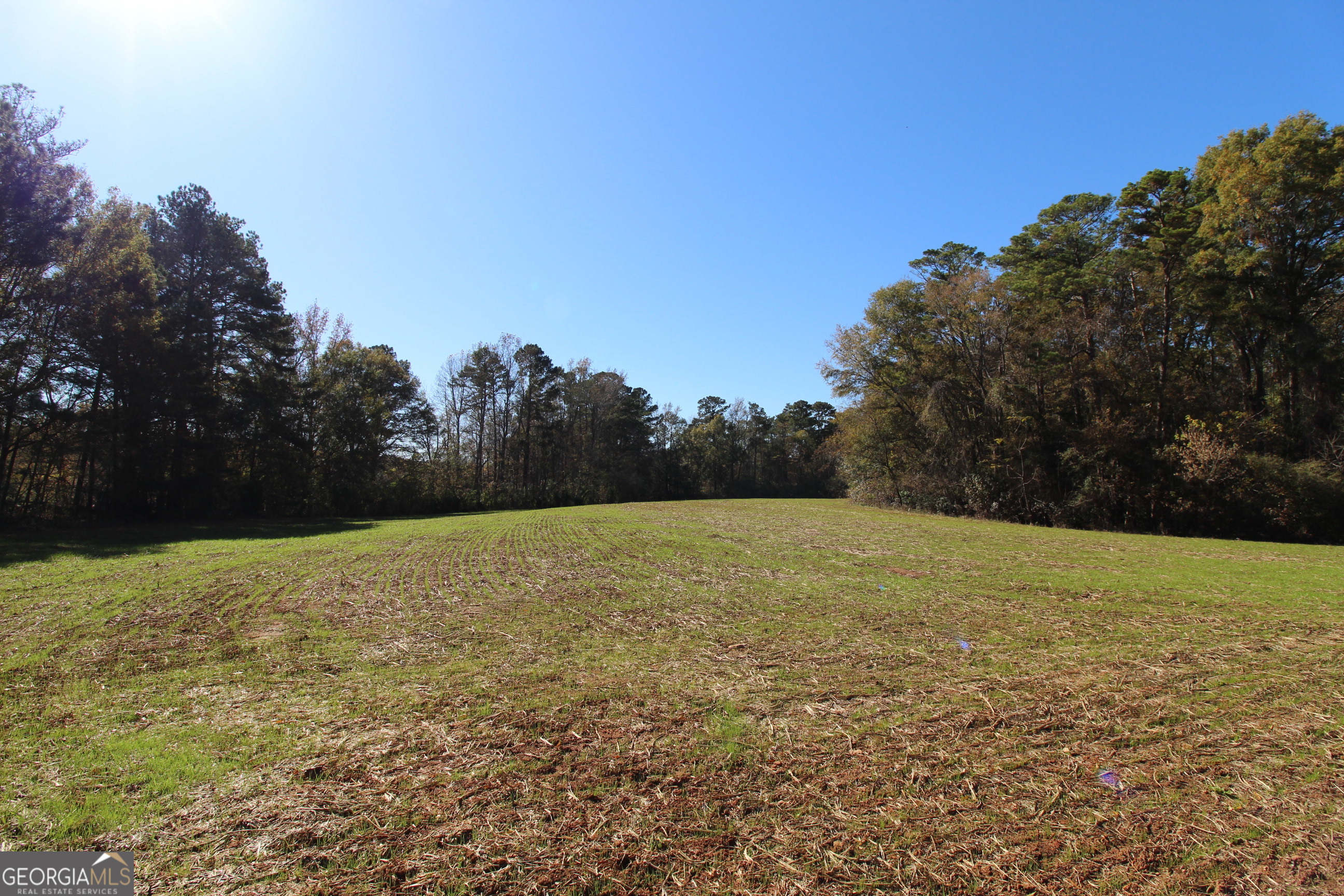 103 Greensboro Road Eatonton, GA 31024 - Photo 11 of 23 a view of a field with an trees