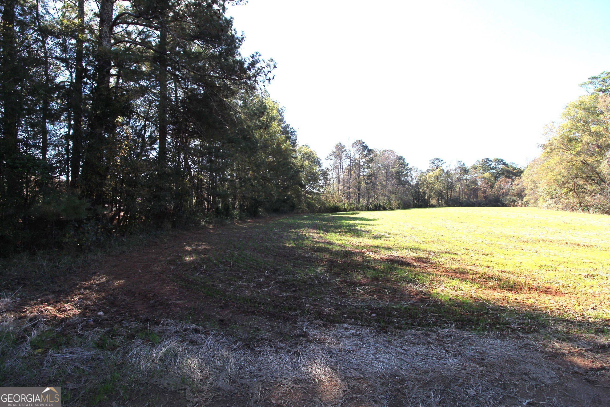 103 Greensboro Road Eatonton, GA 31024 - Photo 12 of 23 a view of an outdoor space and yard