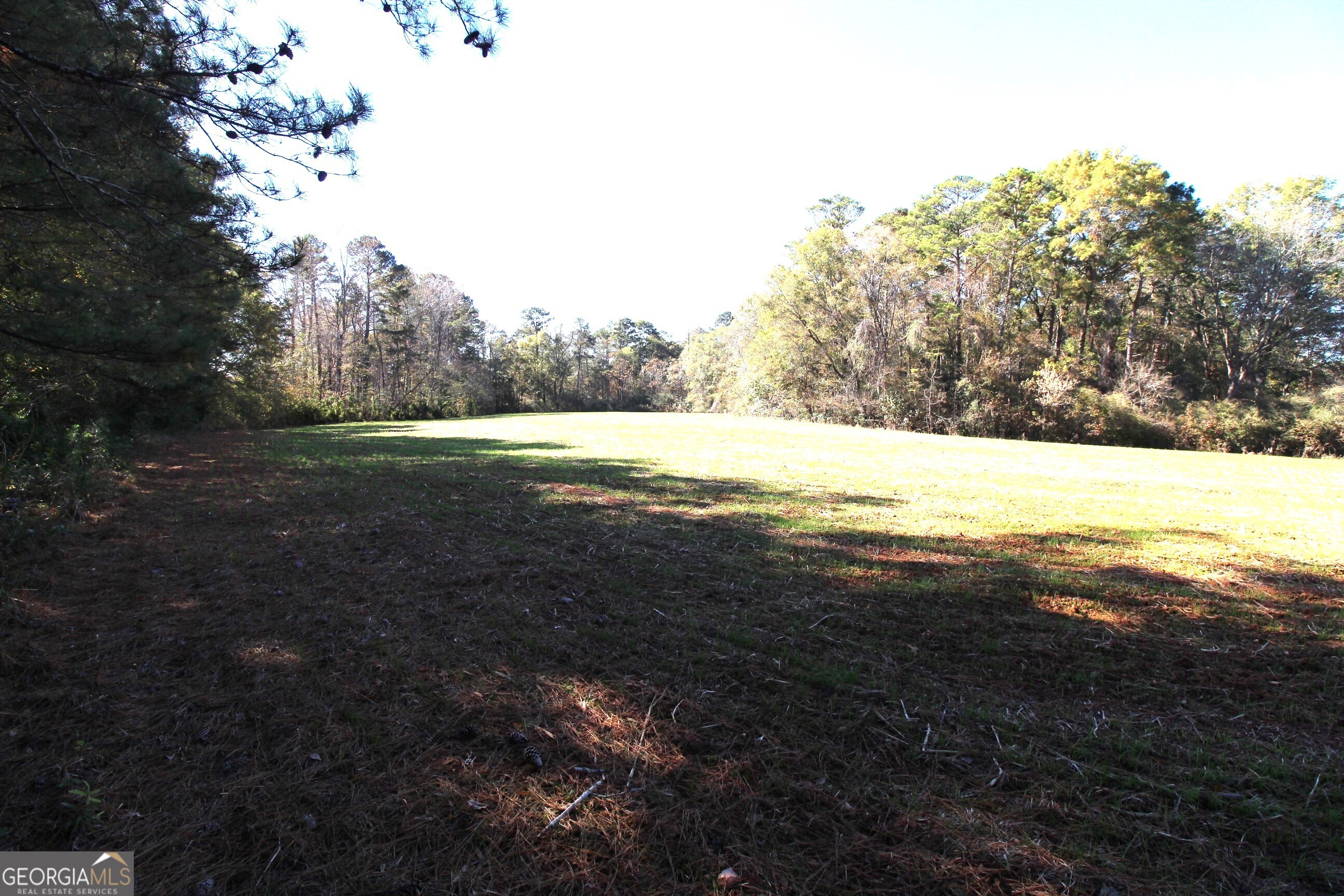 103 Greensboro Road Eatonton, GA 31024 - Photo 8 of 23 a view of an ocean beach