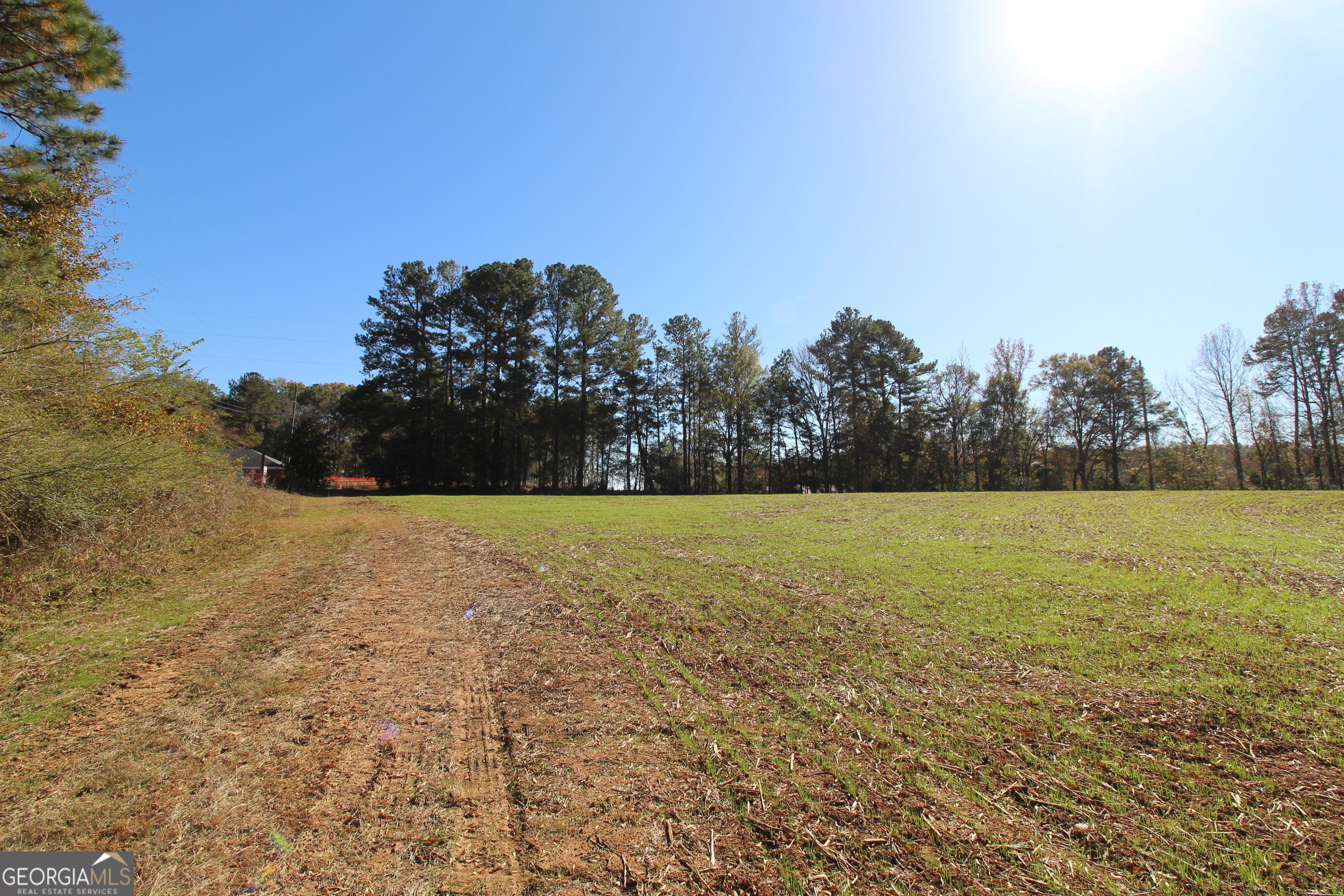 103 Greensboro Road Eatonton, GA 31024 - Photo 10 of 23 a view of outdoor space and yard