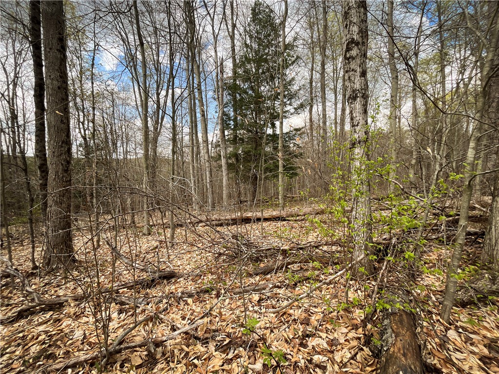 West Creek Road Richford, NY 13835 - Photo 13 of 44