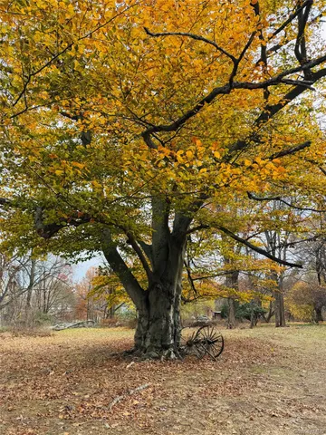 $3,200 | 72 Webb Road, Middletown, NY 10940