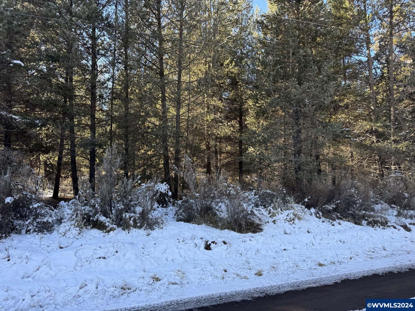 Brook Trout Lane Chiloquin, OR 97624 - Photo 10 of 18