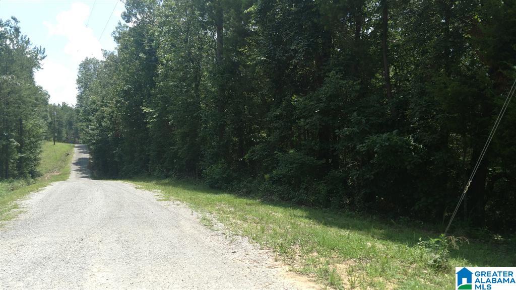 0 Powell Road Remlap, AL 35133 - Photo 11 of 19