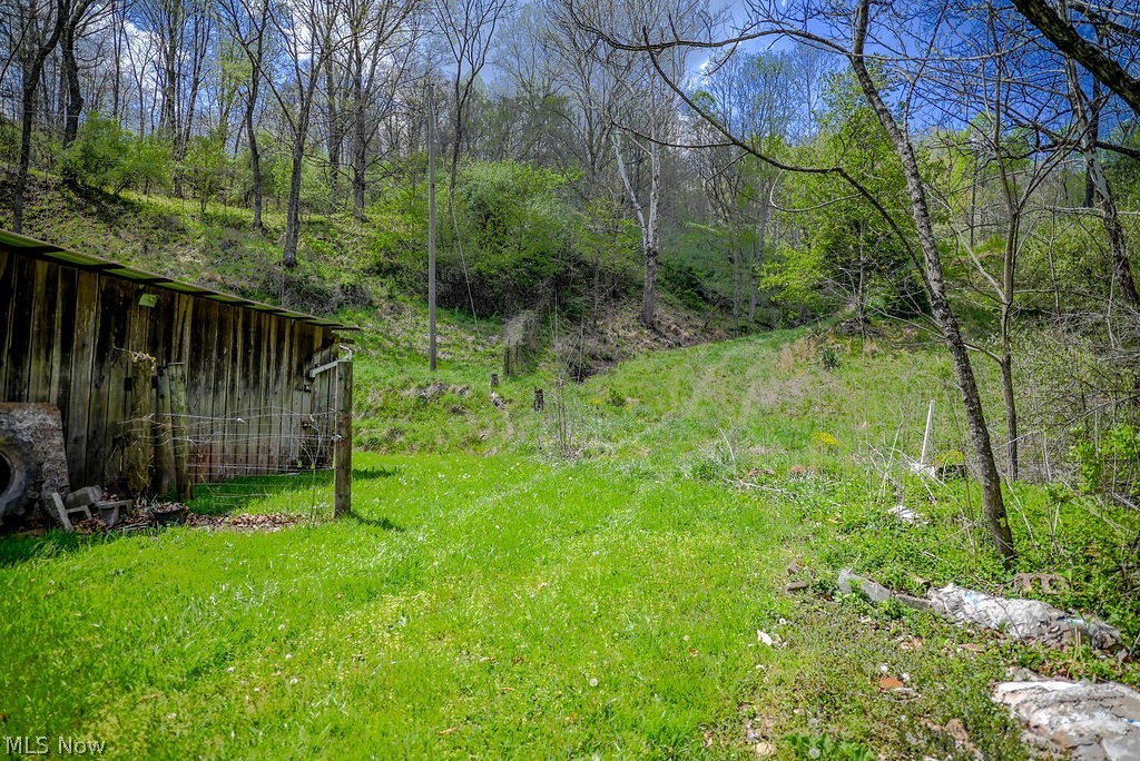1547 Providence Road Elizabeth, WV 26143 - Photo 32 of 32 Wood-clad outbuilding with a corrugated roof