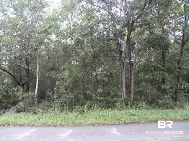 Lot 12 Soldier Creek Road Lillian, AL 36549 - Photo 3 of 8