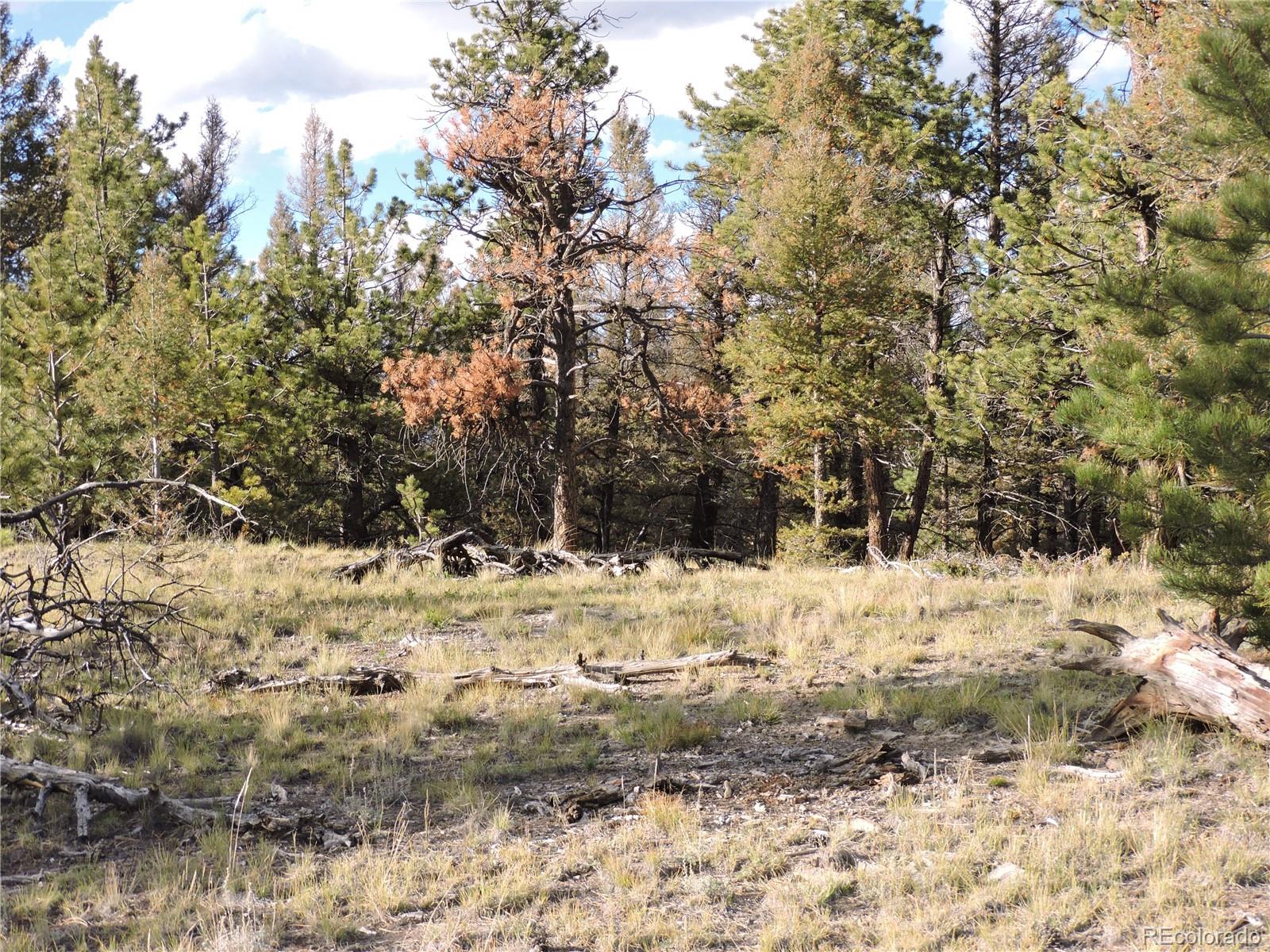 5113 Campfire Road Hartsel, CO 80449 - Photo 11 of 16