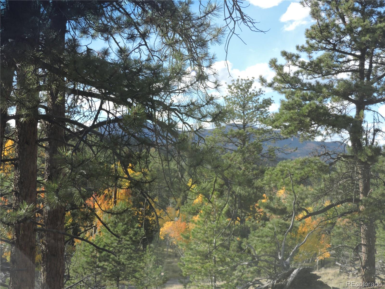 5113 Campfire Road Hartsel, CO 80449 - Photo 13 of 16