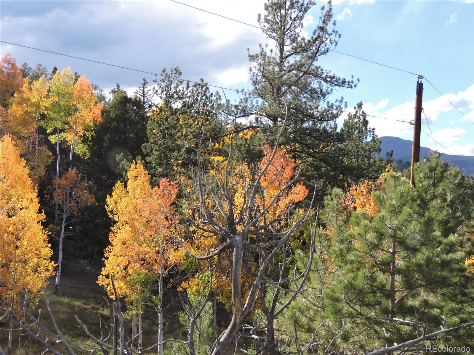 5113 Campfire Road Hartsel, CO 80449 - Photo 14 of 16