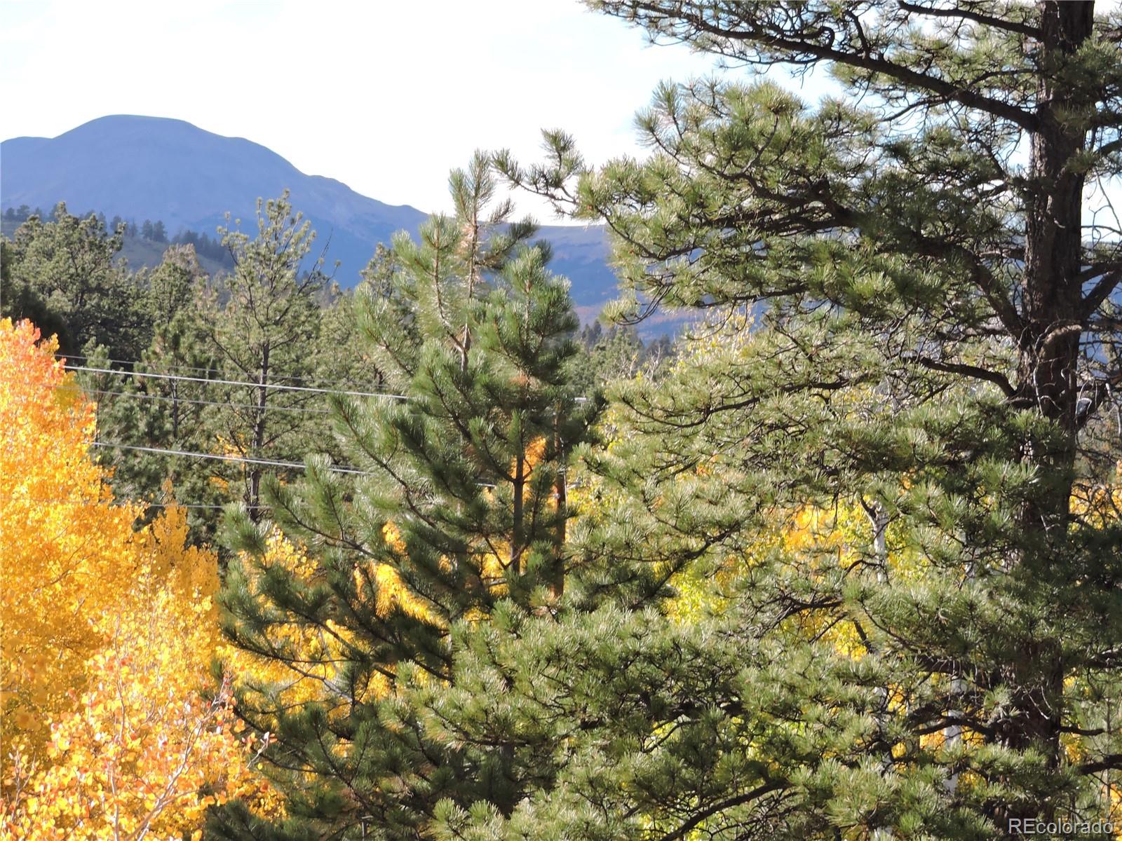 5113 Campfire Road Hartsel, CO 80449 - Photo 15 of 16