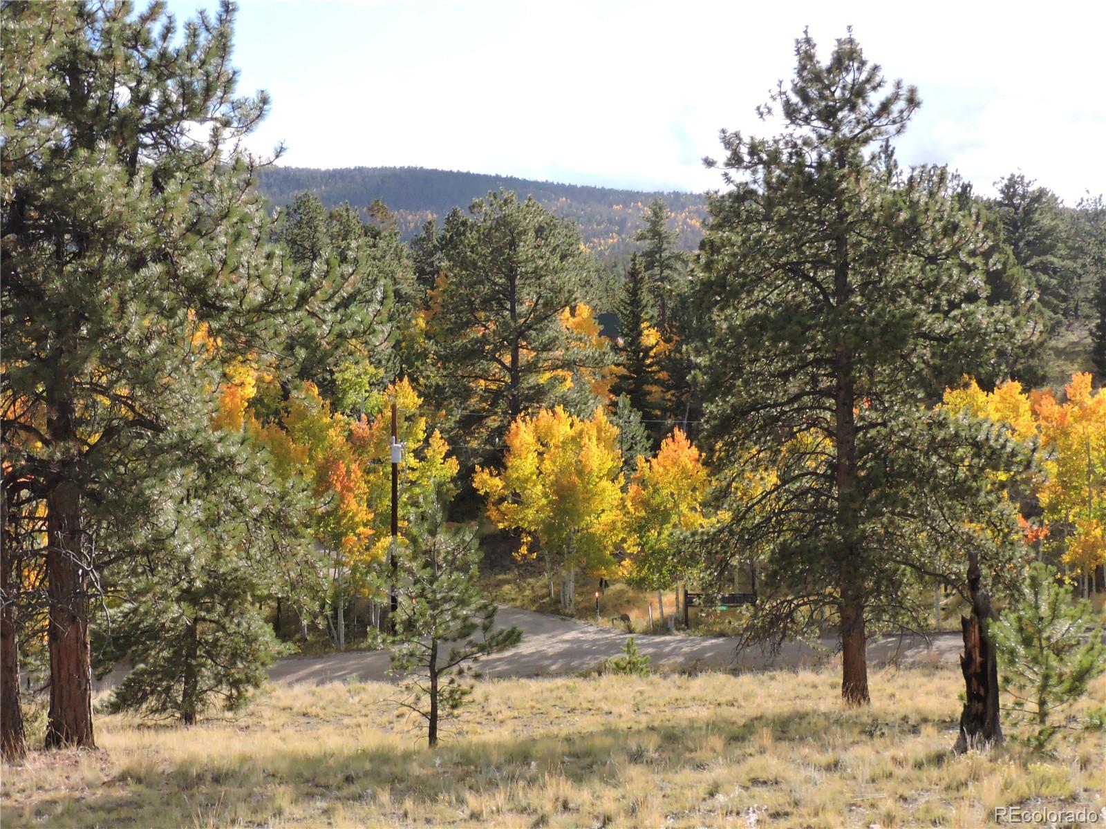 5113 Campfire Road Hartsel, CO 80449 - Photo 2 of 16