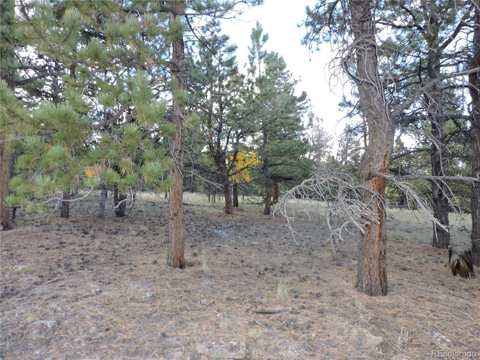 5113 Campfire Road Hartsel, CO 80449 - Photo 3 of 16