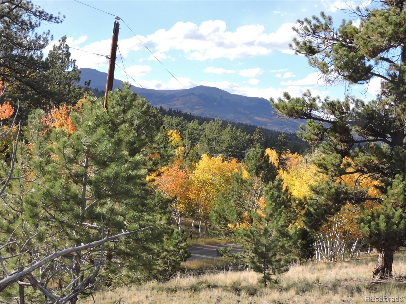 5113 Campfire Road Hartsel, CO 80449 - Photo 4 of 16