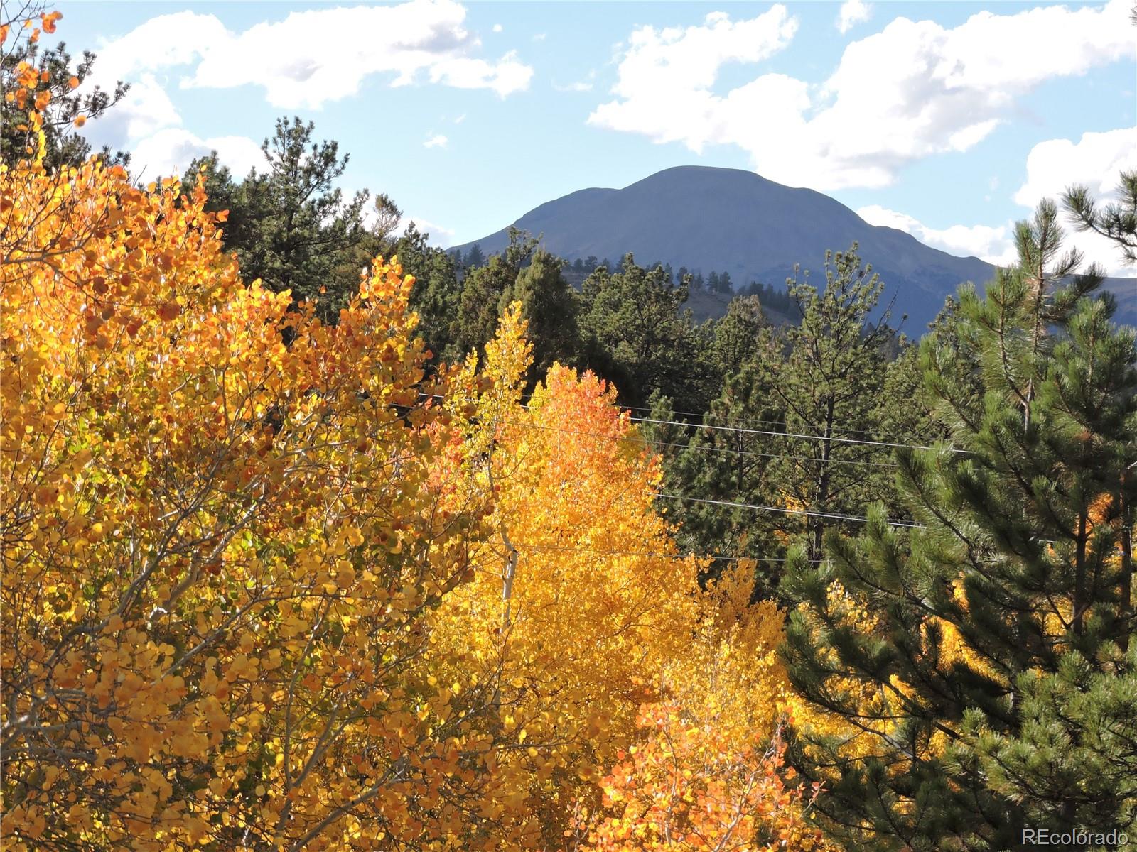 5113 Campfire Road Hartsel, CO 80449 - Photo 5 of 16