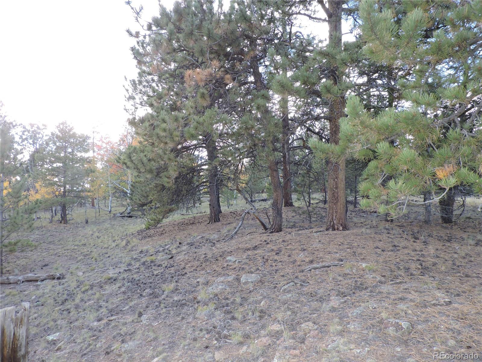 5113 Campfire Road Hartsel, CO 80449 - Photo 6 of 16