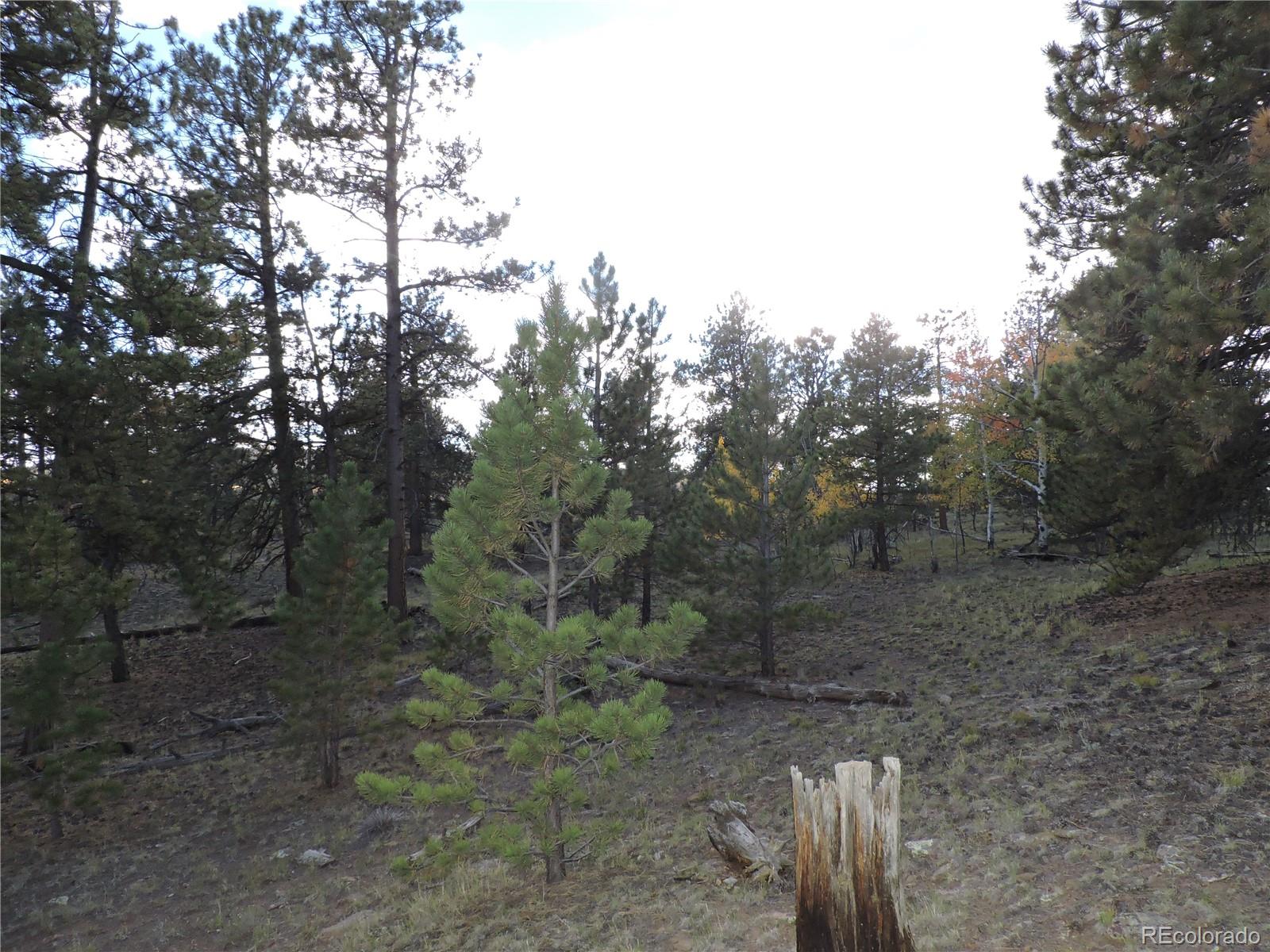 5113 Campfire Road Hartsel, CO 80449 - Photo 7 of 16