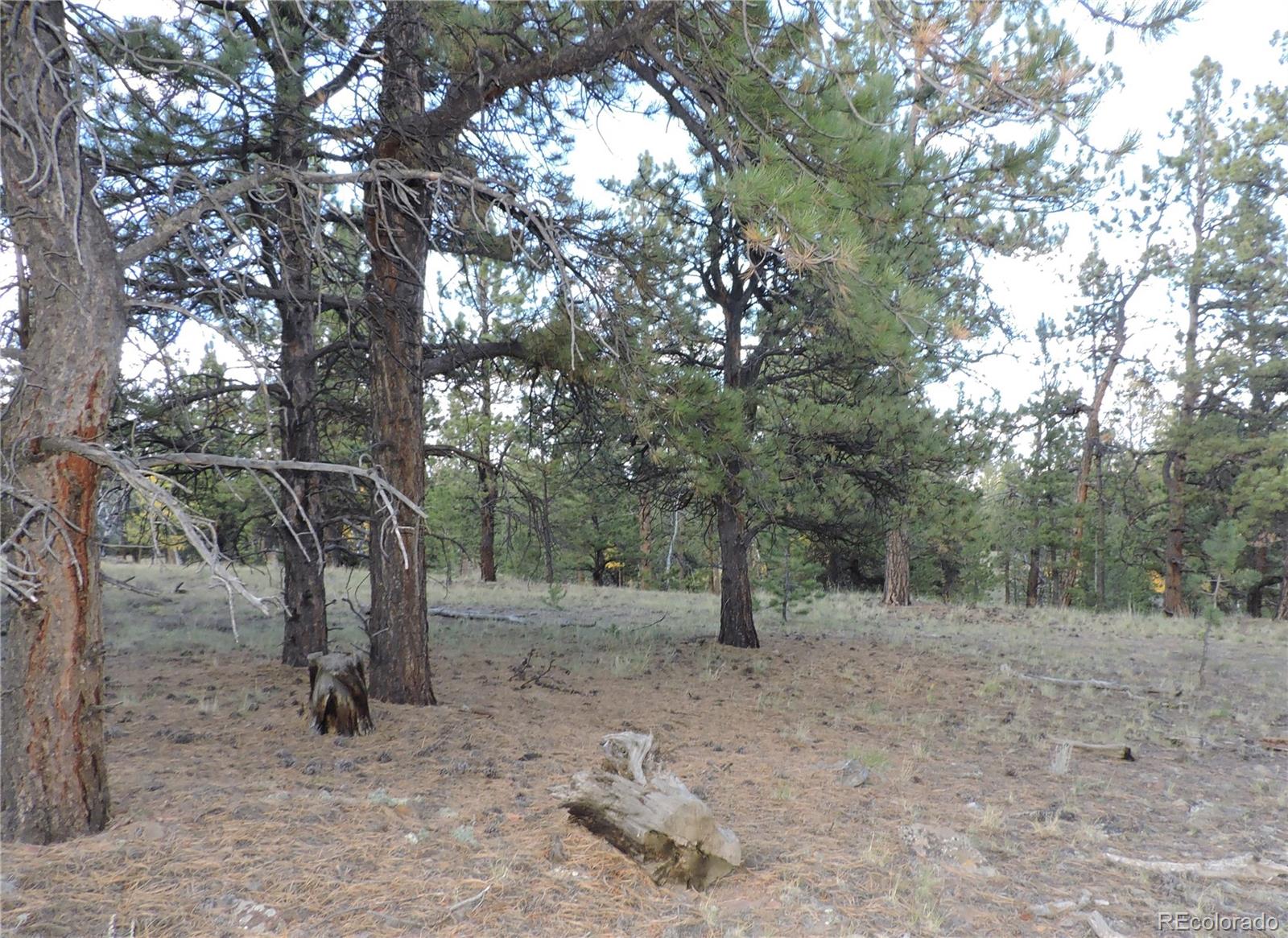 5113 Campfire Road Hartsel, CO 80449 - Photo 8 of 16