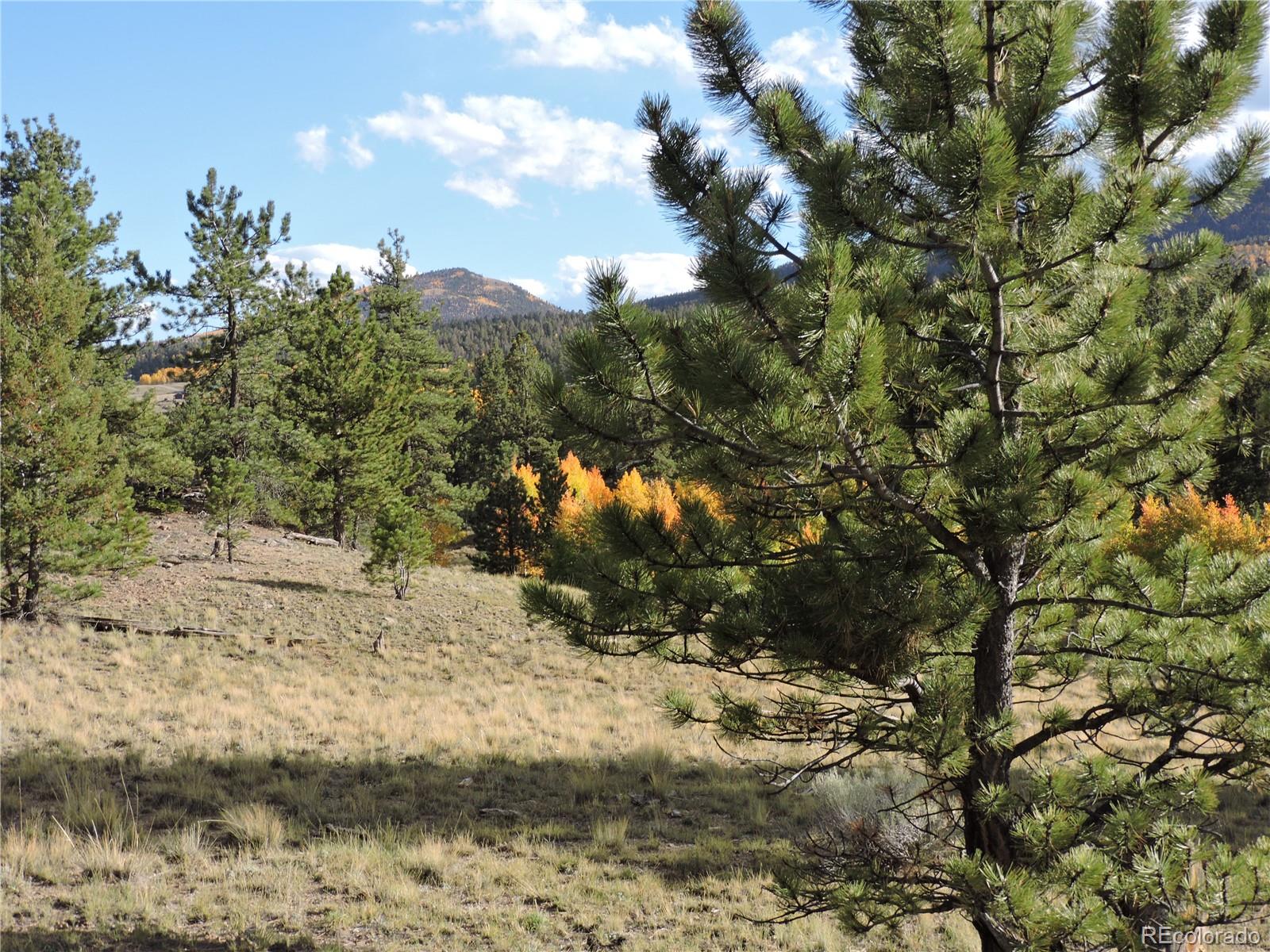 5113 Campfire Road Hartsel, CO 80449 - Photo 9 of 16