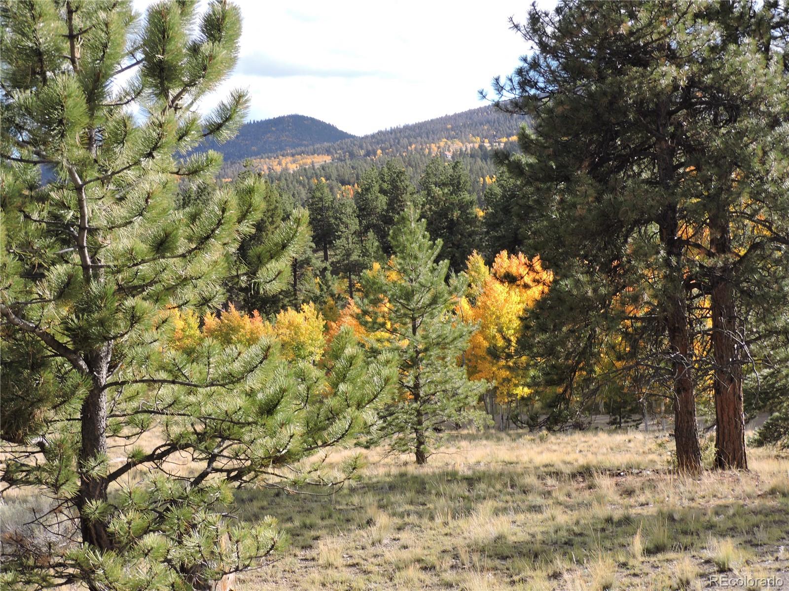 5113 Campfire Road Hartsel, CO 80449 - Photo 10 of 16