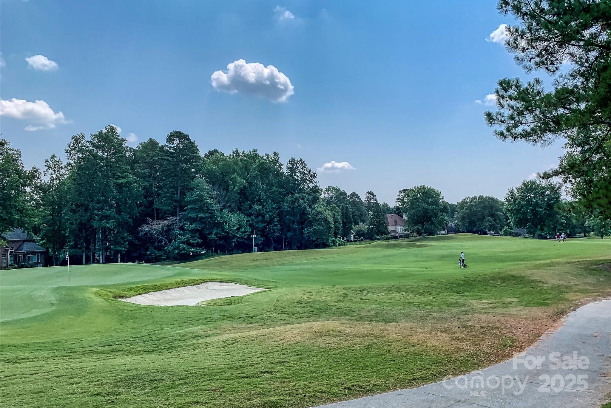 19622 River Falls Drive Davidson, NC 28036 - Photo 25 of 25 a view of a golf course with a lake