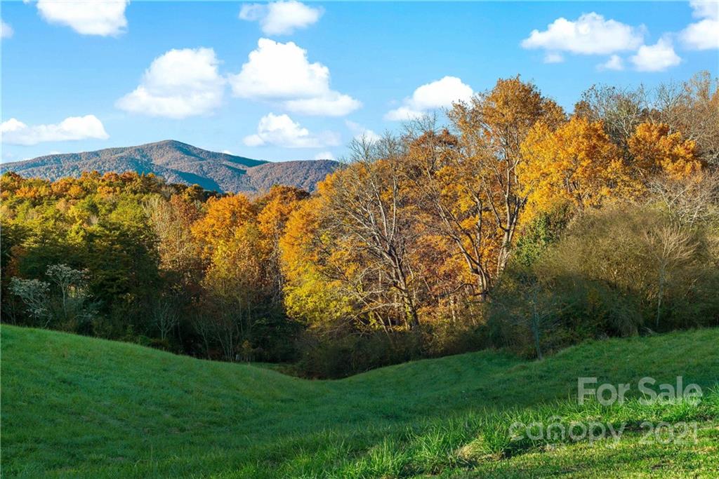 347 East Payne Road Marion, NC 28752 - Photo 46 of 47 Gallery Image 46
