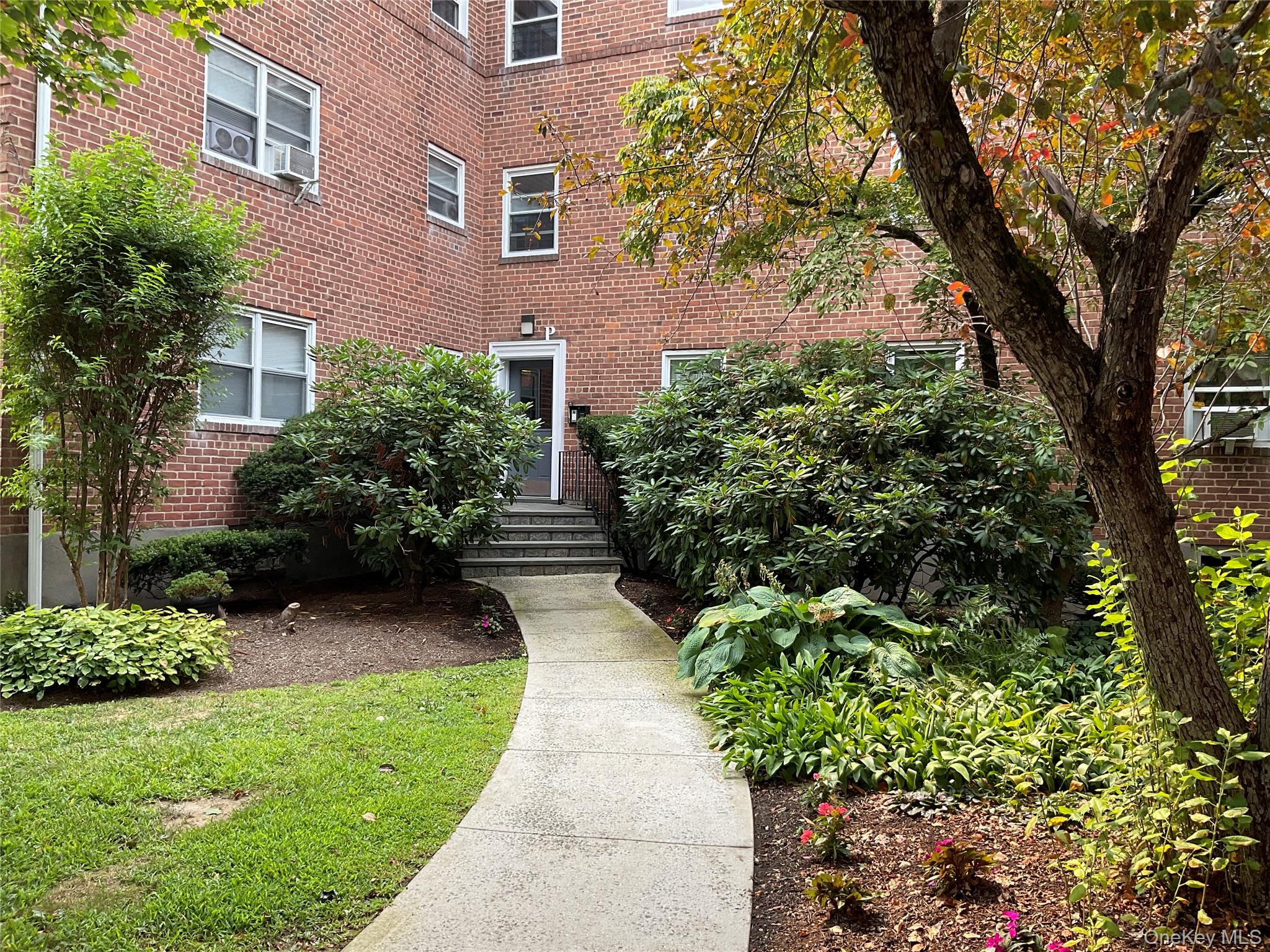 a view of yard with potted plants and large trees