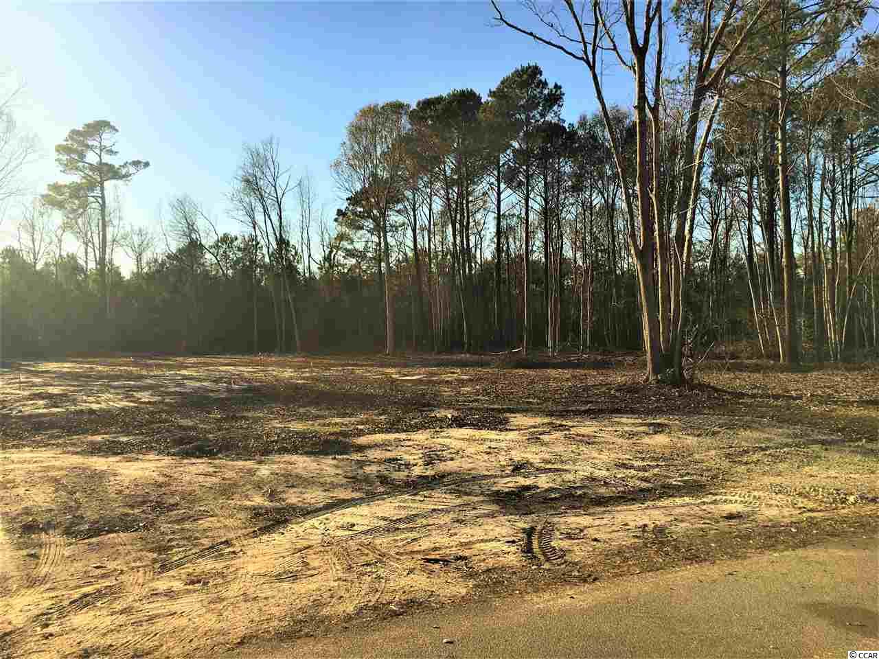 921 West Pelican Road Little River, SC 29566 - Photo 2 of 8 Gallery Image 2