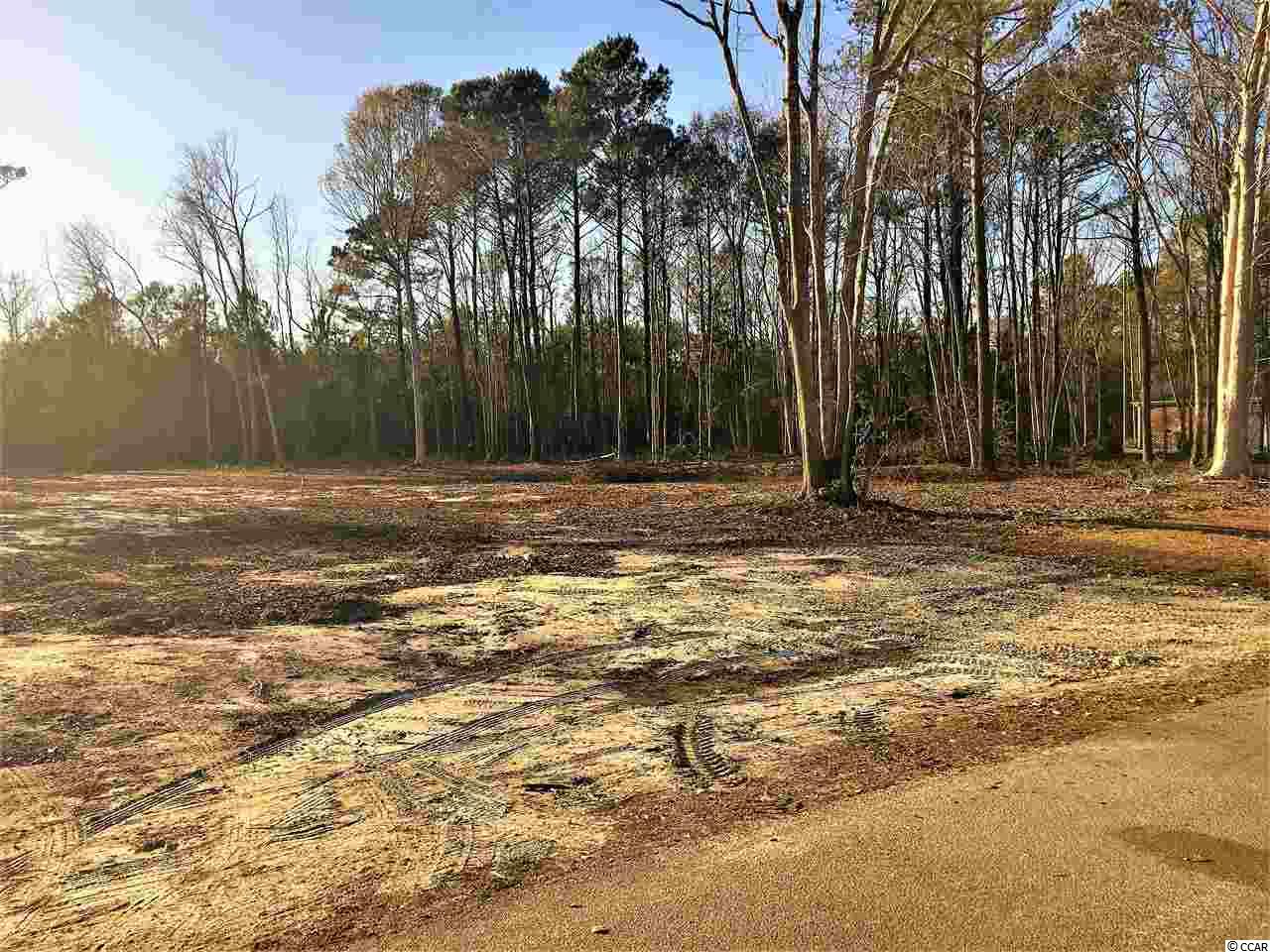 921 West Pelican Road Little River, SC 29566 - Photo 3 of 8 Gallery Image 3