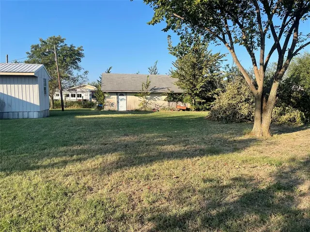a view of a yard with plants and a large tree