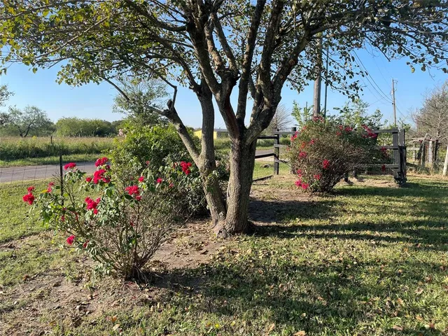 a view of a garden with flowers and trees