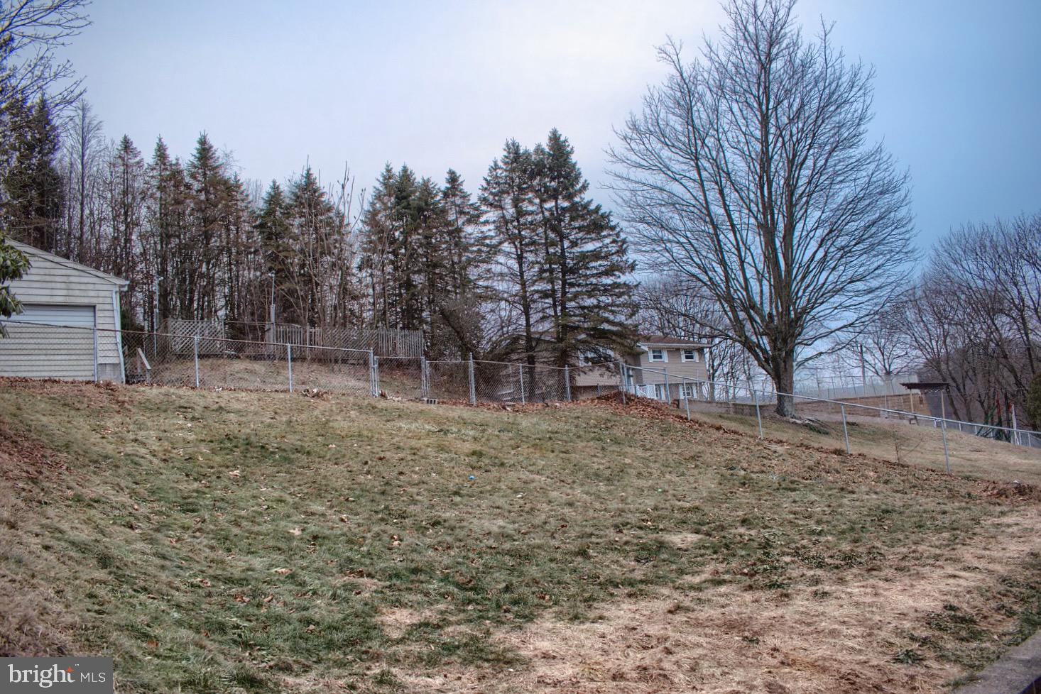 924 Hemlock Street Shamokin, PA 17872 - Photo 6 of 6 a view of a yard with a tree