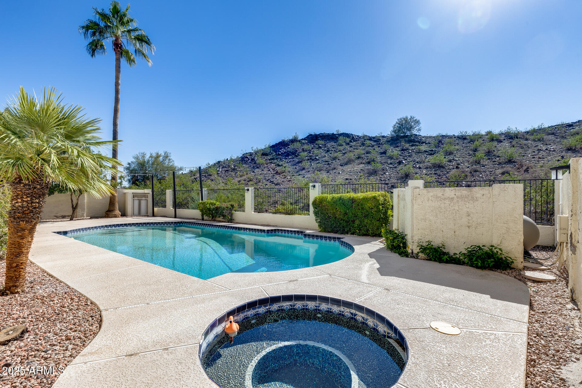 14452 South 40th Street Phoenix, AZ 85044 - Photo 65 of 92 a view of a swimming pool with a yard