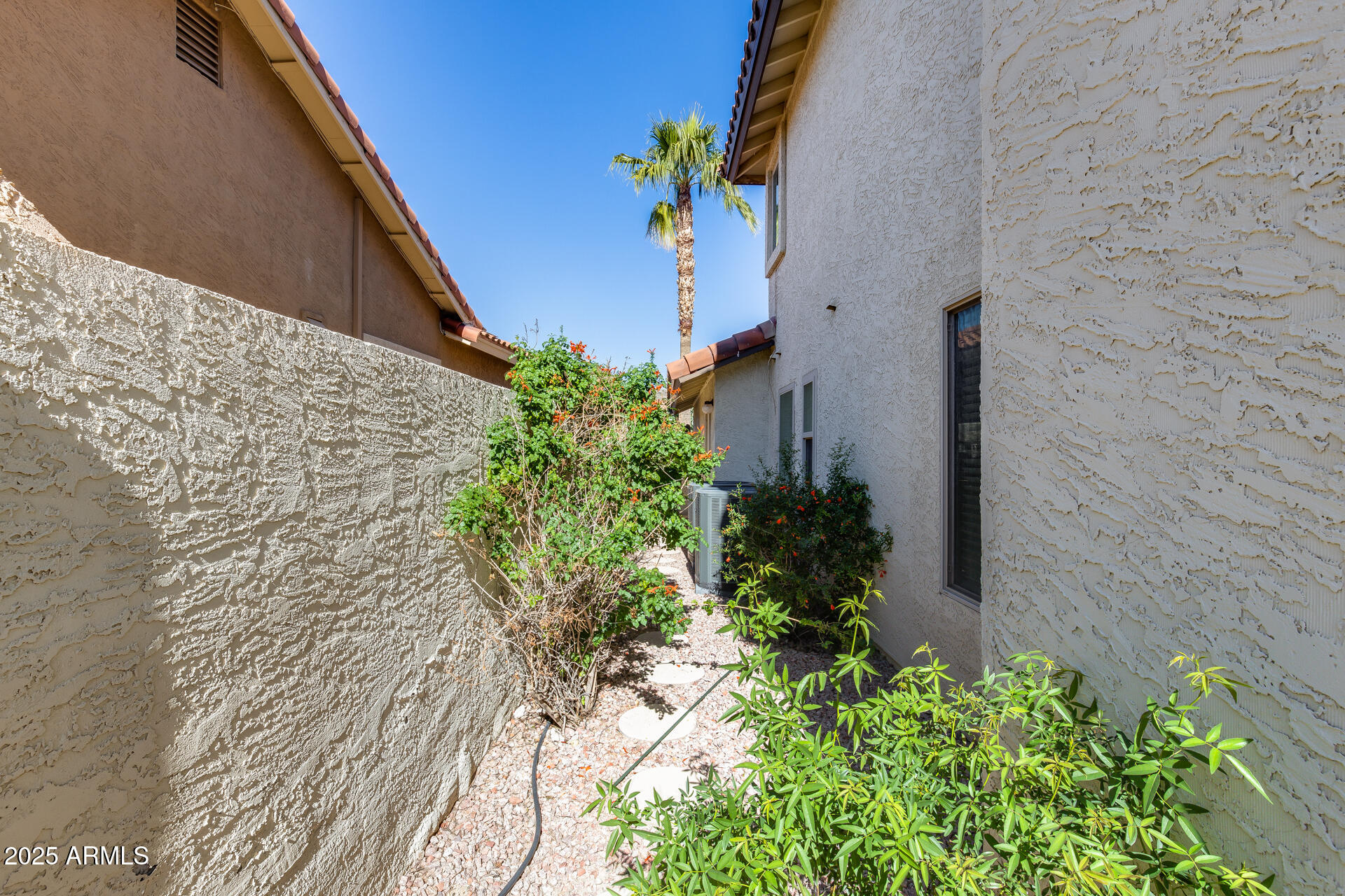 14452 South 40th Street Phoenix, AZ 85044 - Photo 75 of 92 a view of a potted plants next to a wall