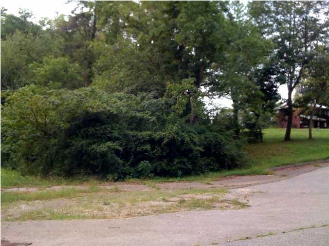 0 Prospect Church Road Collegedale, TN 37363 - Photo 1 of 7 Primary Photo