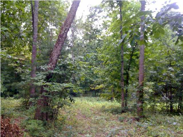 0 Prospect Church Road Collegedale, TN 37363 - Photo 4 of 7 Additional Photo