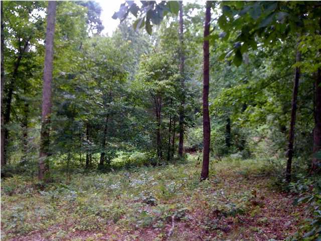 0 Prospect Church Road Collegedale, TN 37363 - Photo 5 of 7 Additional Photo