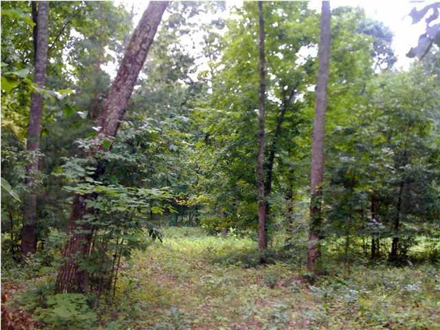 0 Prospect Church Road Collegedale, TN 37363 - Photo 6 of 7 Additional Photo