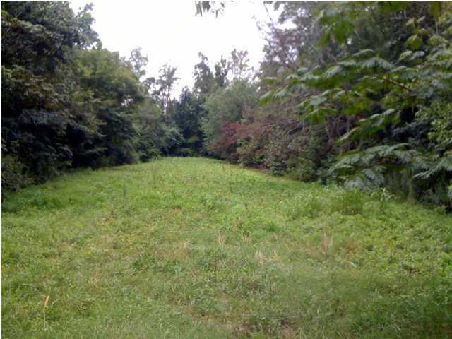 0 Prospect Church Road Collegedale, TN 37363 - Photo 7 of 7 Additional Photo