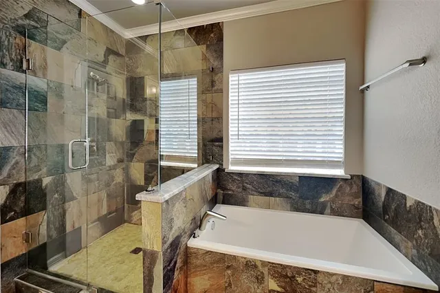 a bathroom with a bathtub and a shower